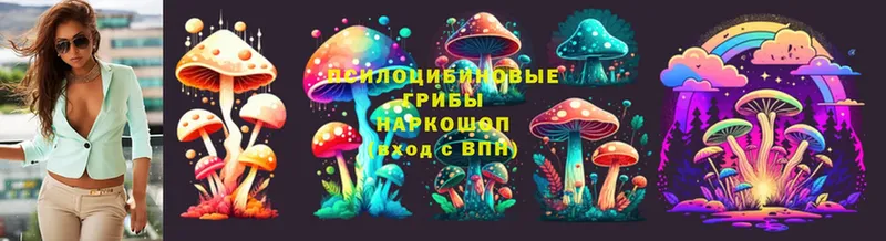 Псилоцибиновые грибы Psilocybine cubensis  купить наркотик  Енисейск 